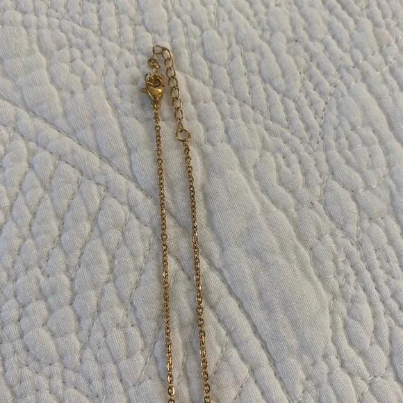 Texas Gold Necklace Dainty - Picture 4 of 4